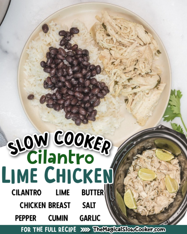 Slow Cooker Cilantro-Lime Chicken and Rice: A Flavorful Delight