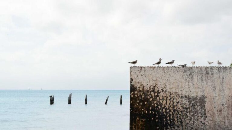 UK, Italy and Japan team up for new fighter jet