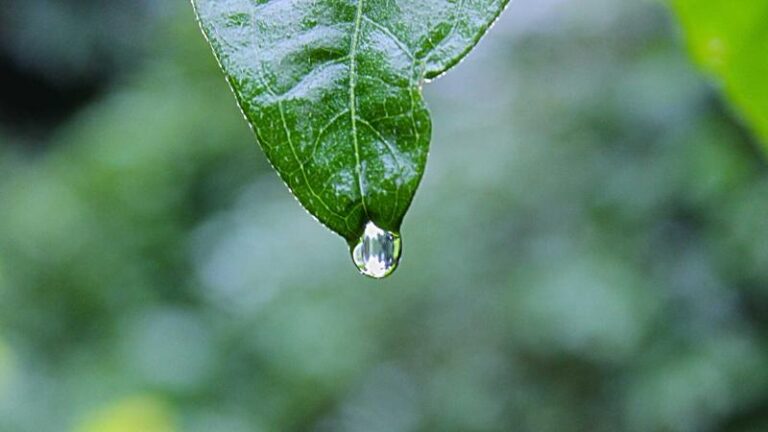 Santander UK fined £108m over money laundering failings