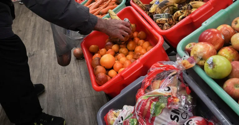 World Food Prices Expected to Rise Amid Ongoing Middle East Conflict, Reports FAO