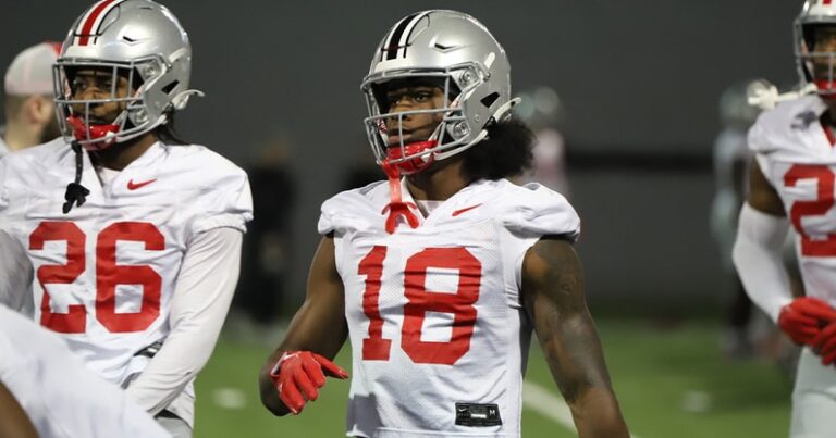 Ohio State Safety Jaylen McClain Poised for Key Role in 2026