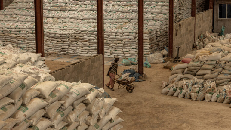 Global Fertilizer Crisis Linked to Iran Conflict Raises Concerns for Future Grain Harvests