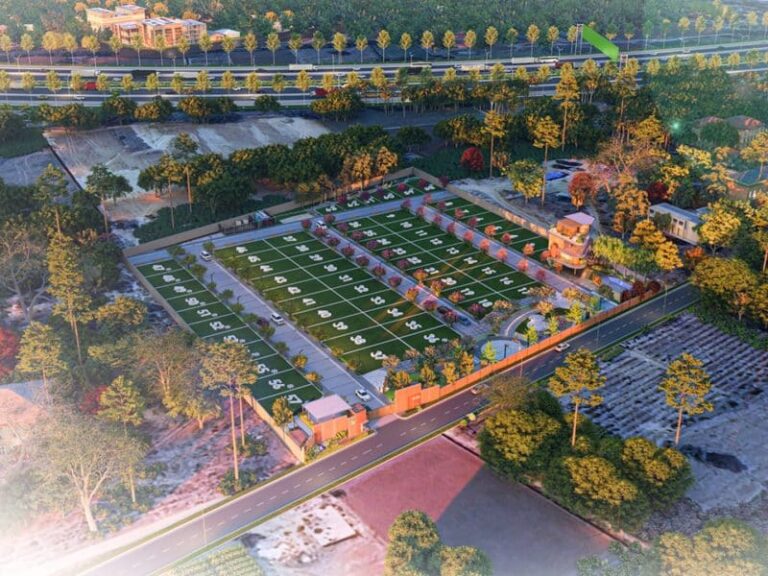 Rays Roots Still Shape Stephen Vogt’s Managing Style: Guardians Takeaways