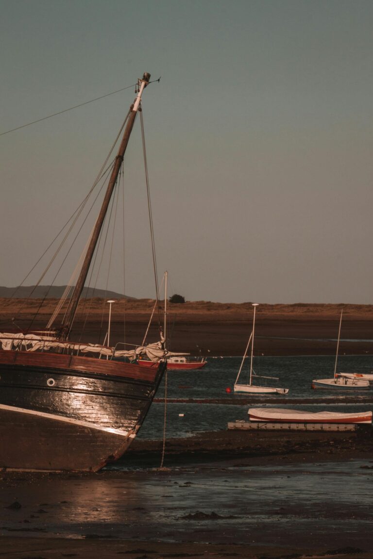 French and Japanese Ships Navigate Strait of Hormuz Amid Ongoing Tensions