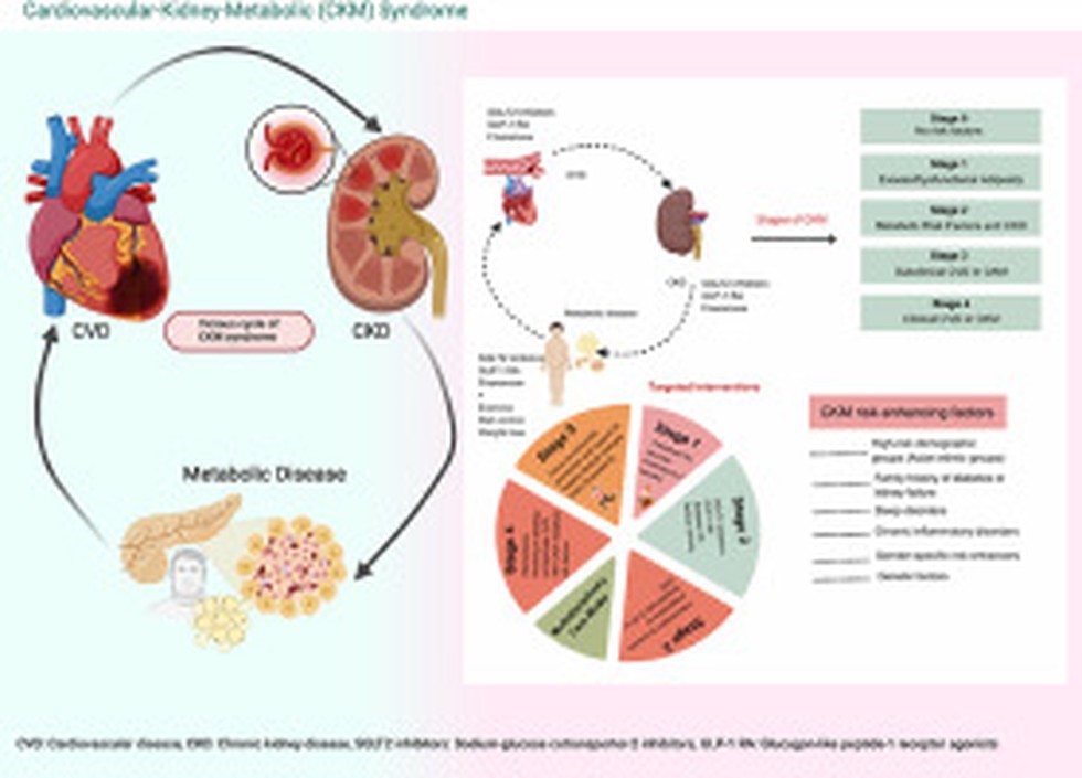Cardiovascular-Kidney-Metabolic Syndrome Linked to Increased Cancer Risk