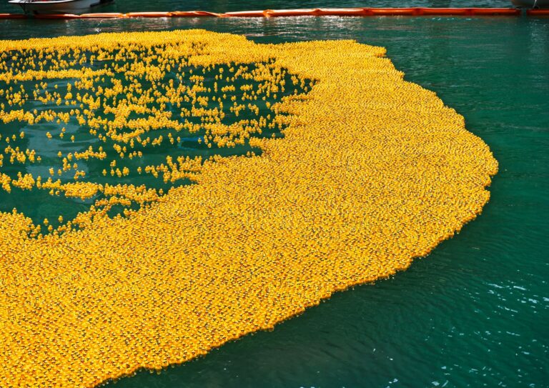 World’s Largest Rubber Duck Returns to Put-in-Bay with New Ducklings