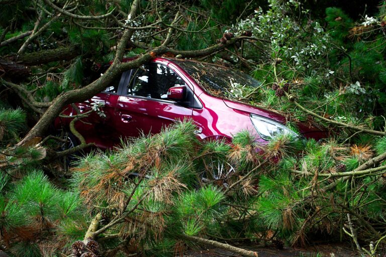 Storms Cause Tree Limb to Crash Through Home in Gates Mills
