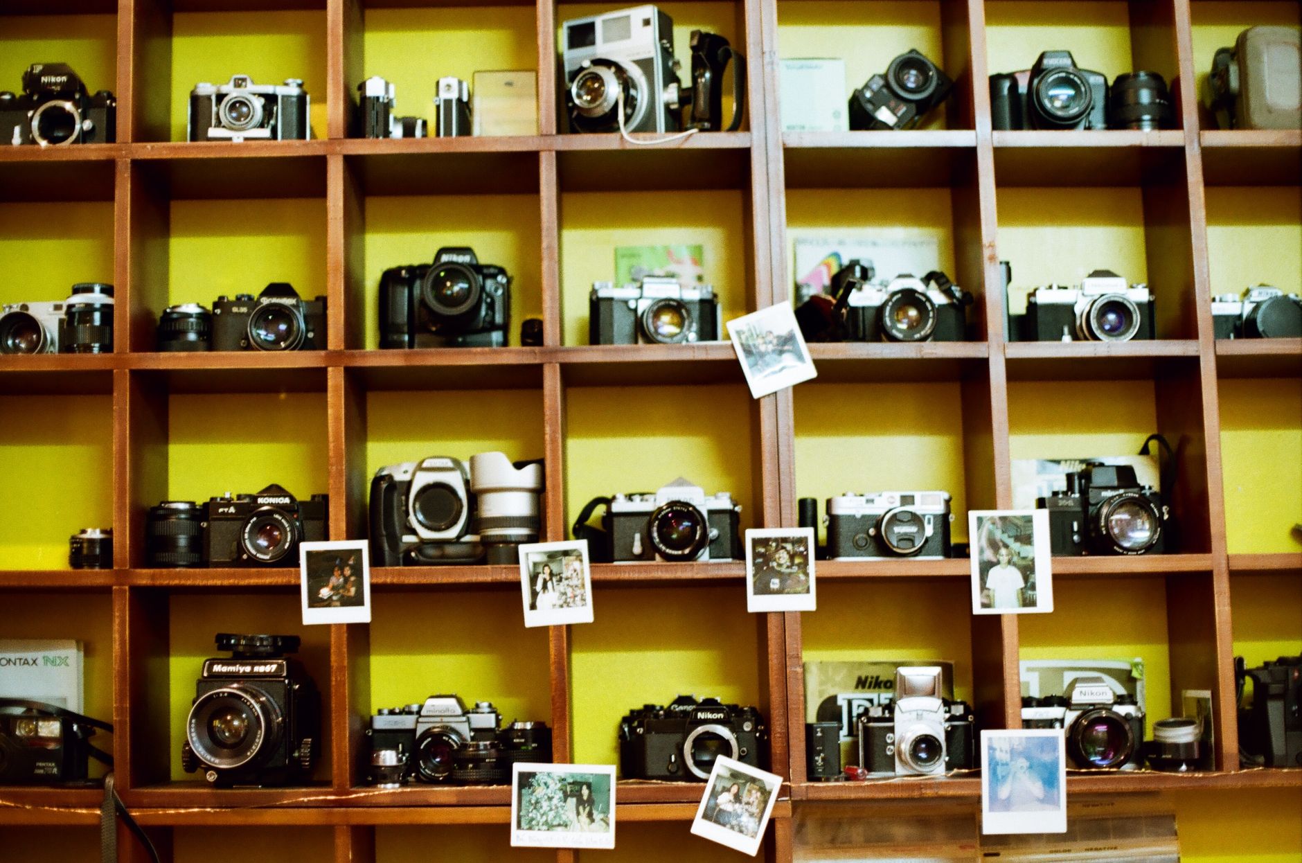 Local Photographer Organizes Special Photo Session for Veterans