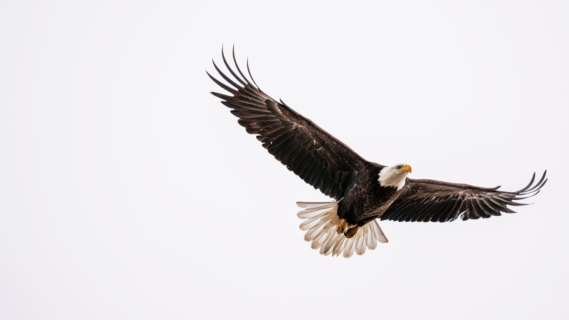 Kroger Acquires Giant Eagle in Major Retail Merger