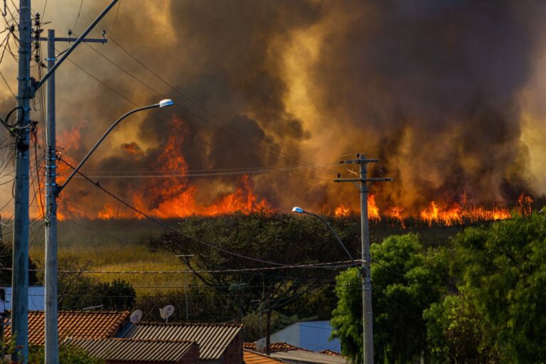 Betting on Catastrophe: The Rise of Wildfire Prediction Markets