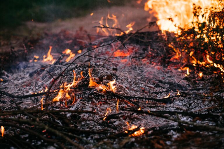 Mastering the Art of the Perfect Campfire S’more