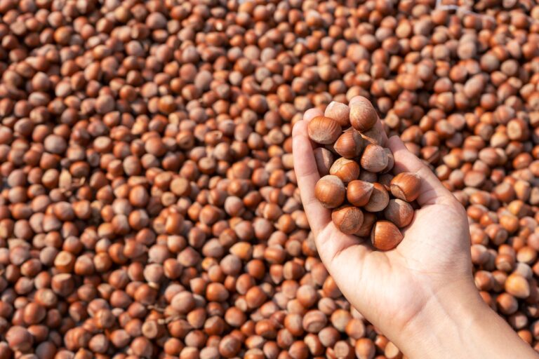 A Handful of Nuts a Day May Help Keep Blood Pressure at Bay