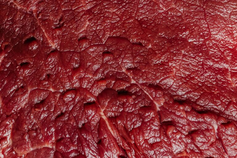 ‘Flesh-Eating’ Bacteria Cases Identified Along the Gulf Coast: How to Stay Safe