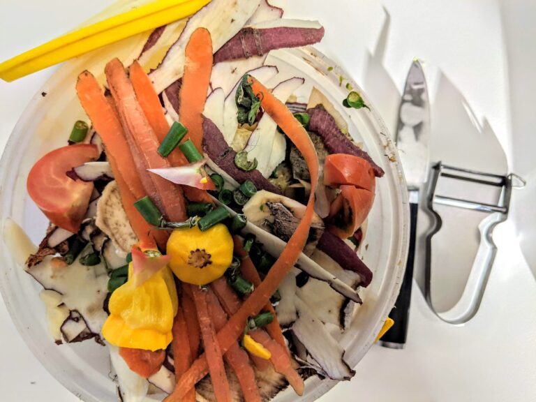 I Tested Kitchen Composters for 2 Years: Here Are My Top Picks