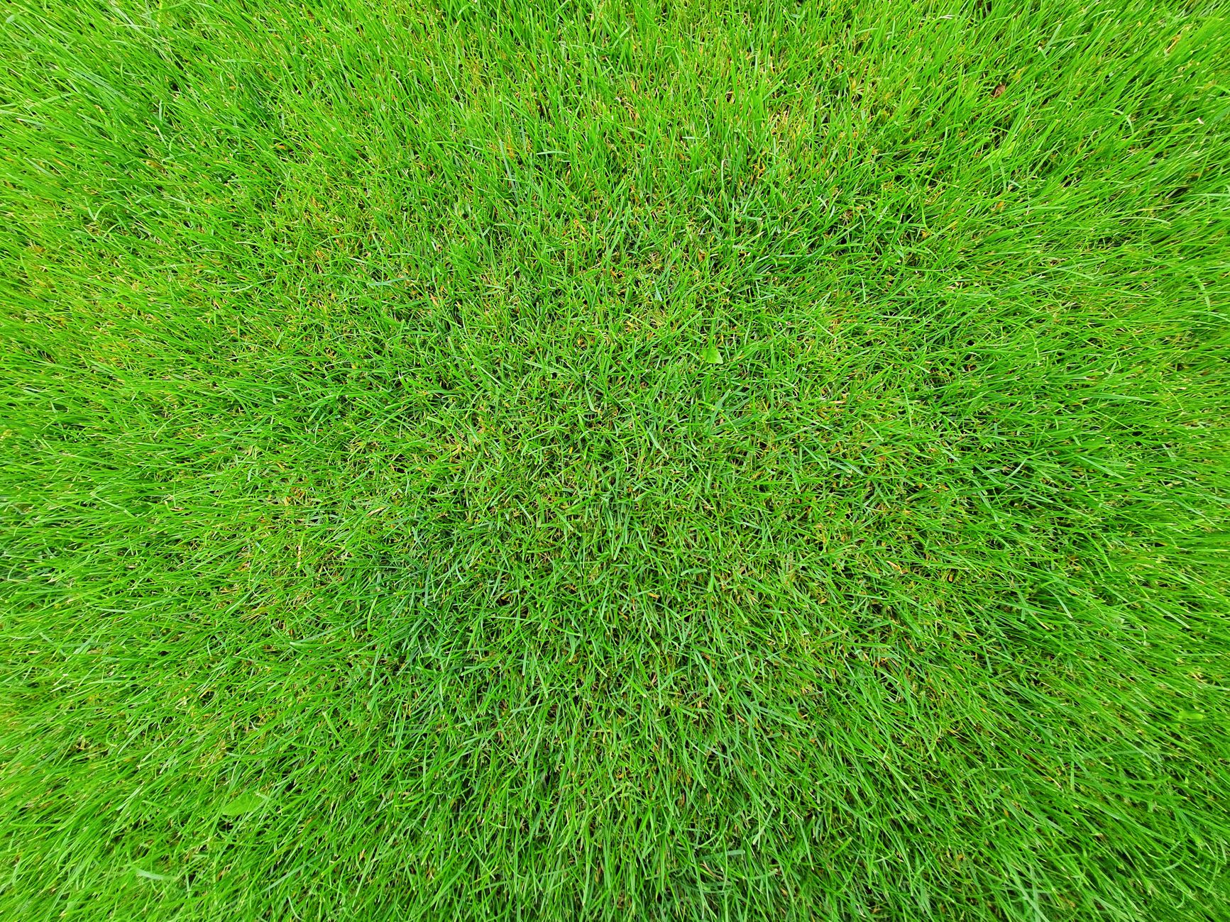 TerraMow V1000 Review: Revolutionizing Lawn Care