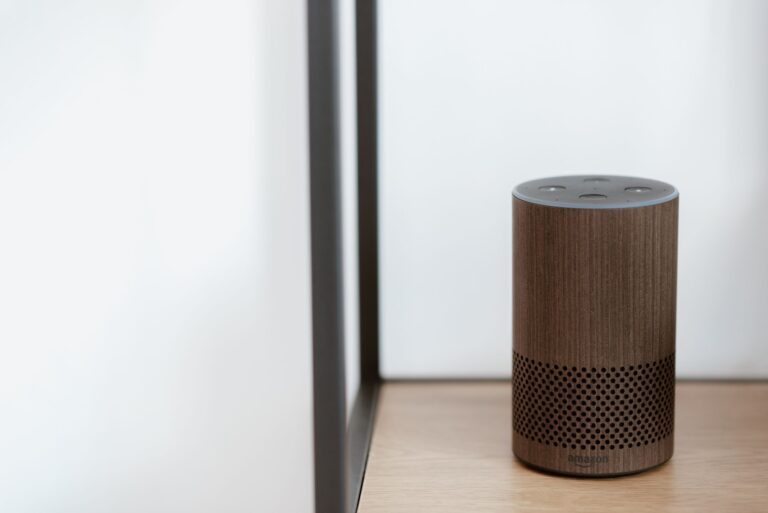 Top 4 Alexa Speakers You Need to Know About