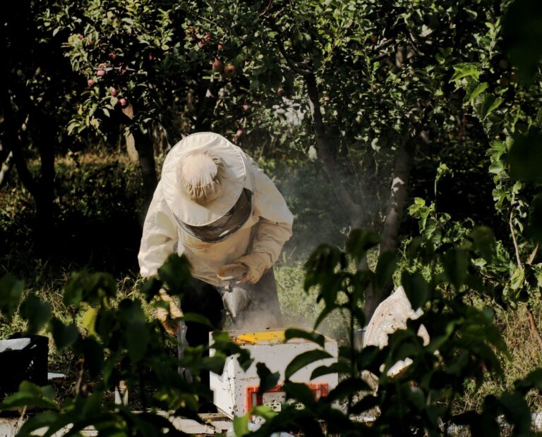 Apple & Honey Harvest Weekend at Lake Metroparks Farmpark