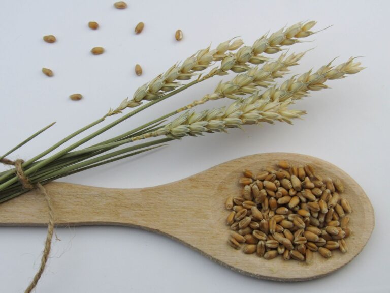 Are You Eating Enough Whole Grains to Lower Your Heart Disease Risk?