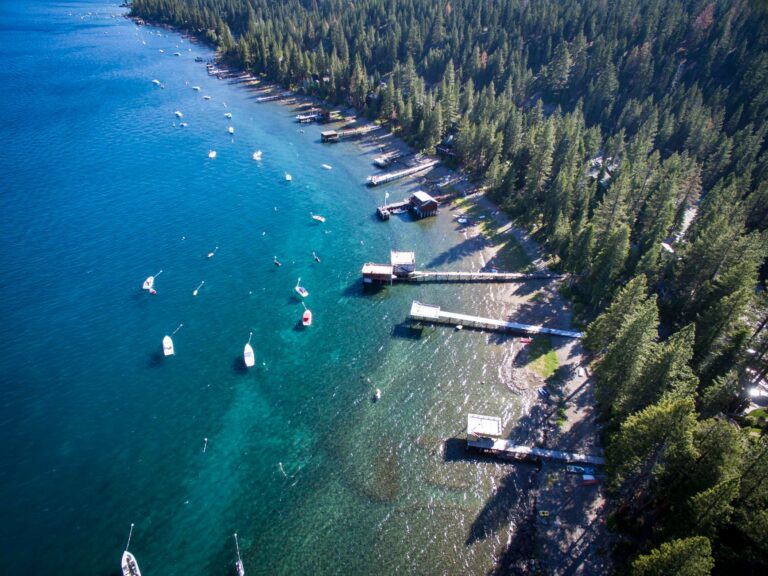 Lake Tahoe Swimmer Requires 38 Stitches Following Unusual Animal Encounter