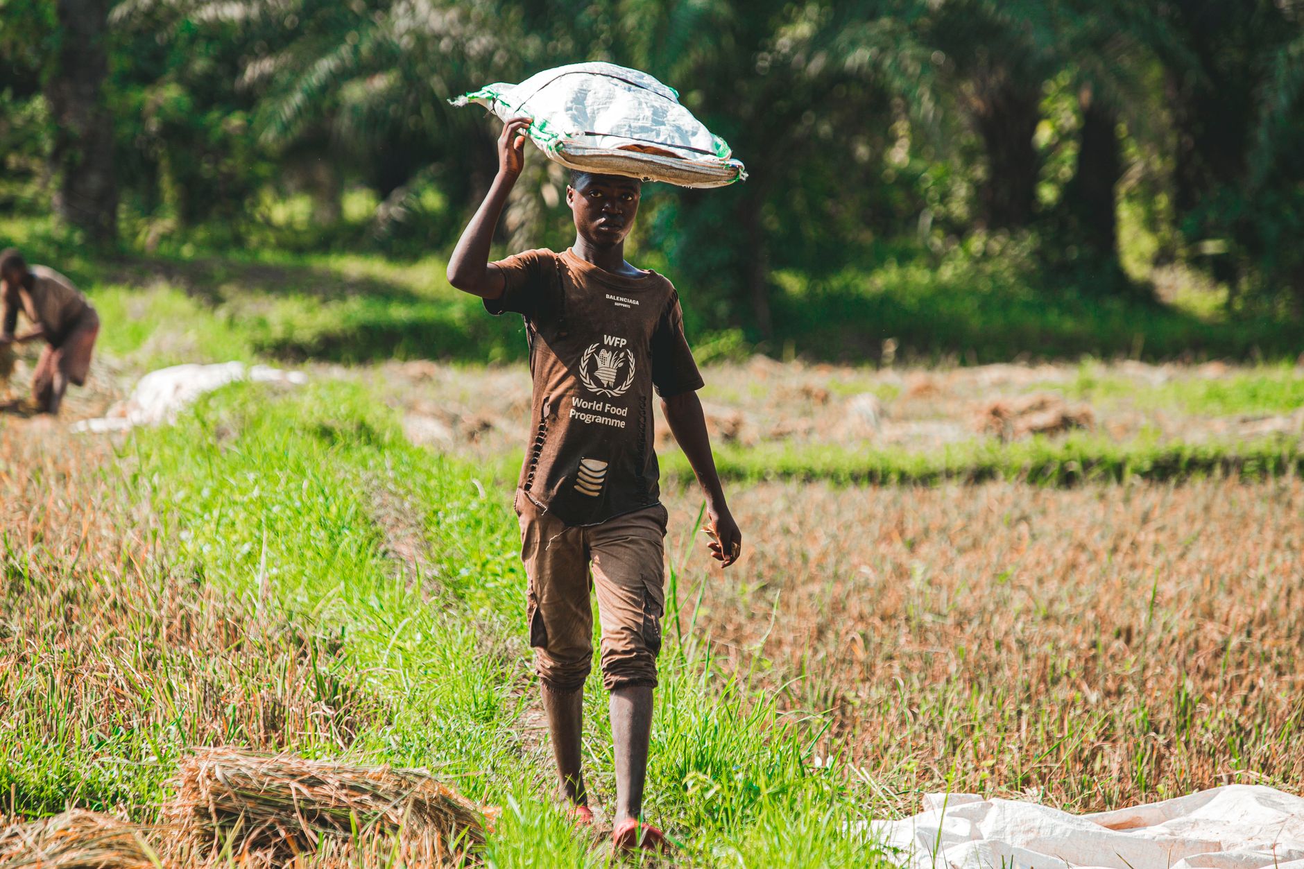 World Food Programme Intensifies Efforts Amid Rising Hunger Crisis in Yemen