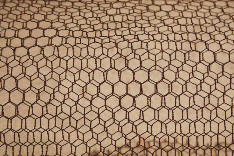 Top Mesh Wi-Fi Systems of 2026: Eliminate Dead Zones and Stay Connected