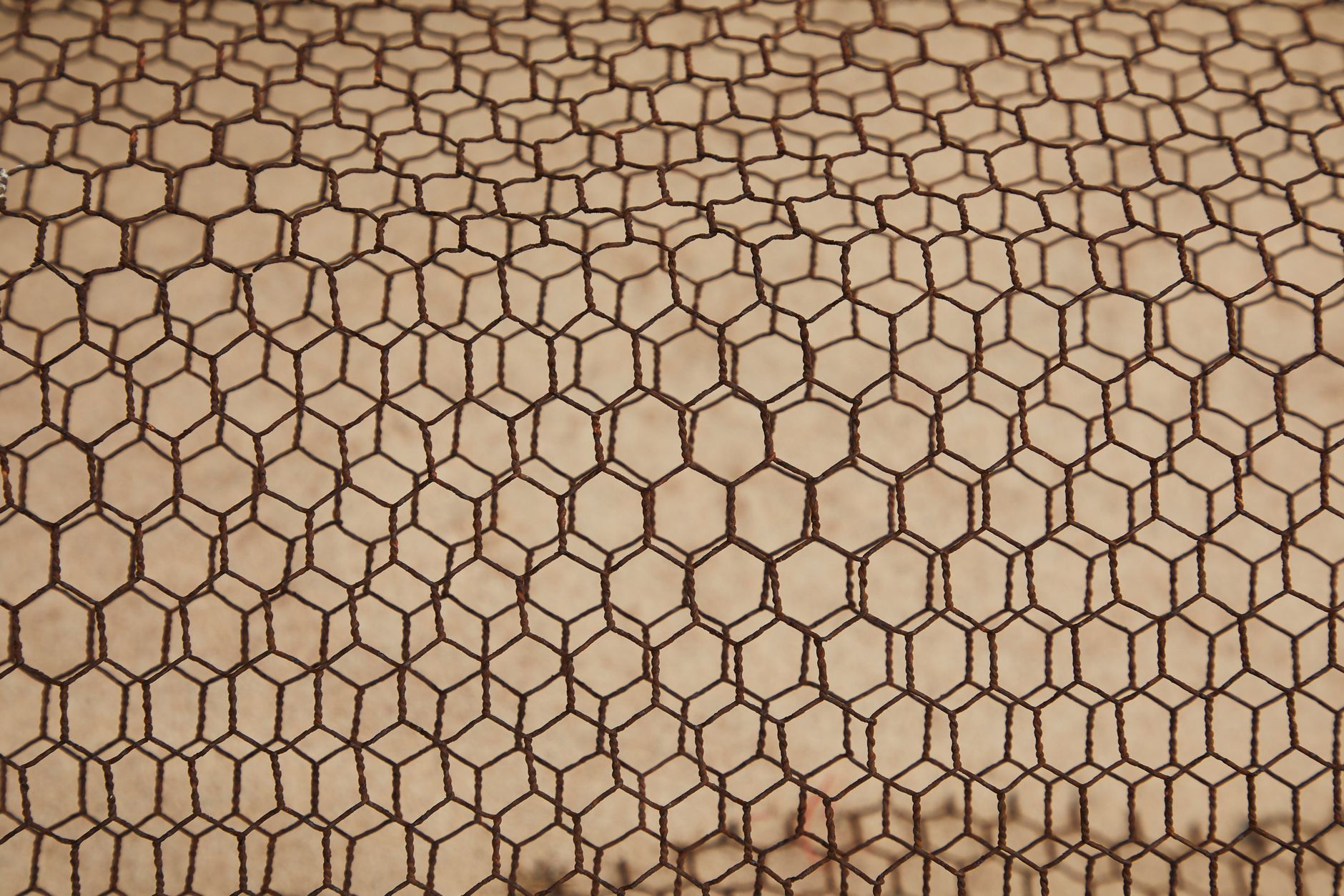 Top Mesh Wi-Fi Systems of 2026: Eliminate Dead Zones and Stay Connected