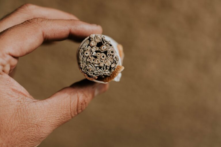 Nicotine: A Surprising Resurgence in the Wellness Movement