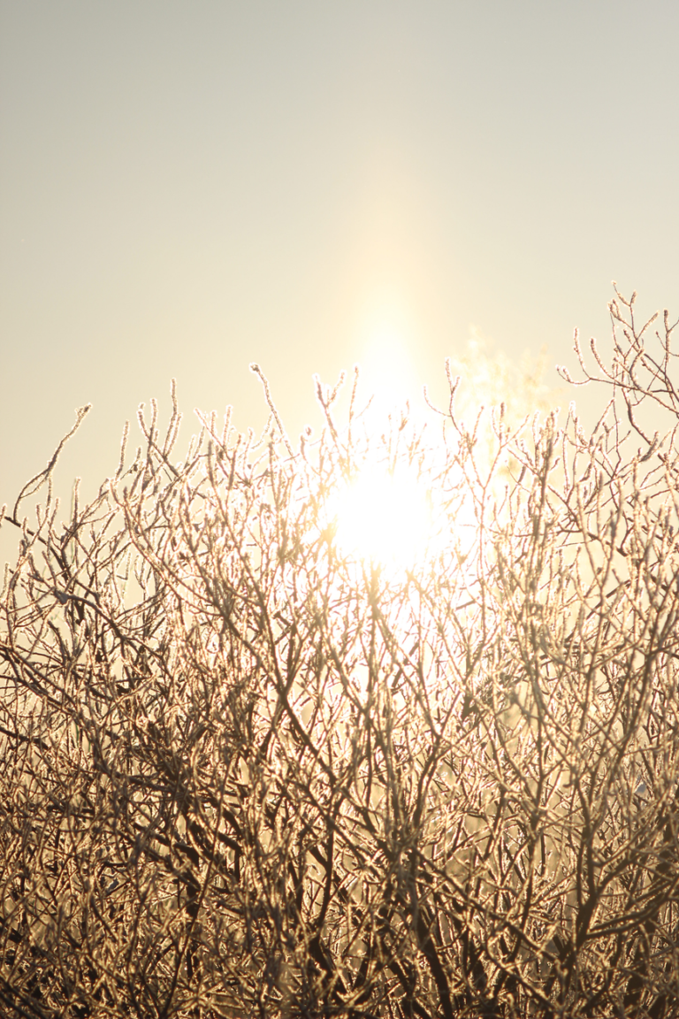 Sunny Days and Crisp Mornings Settle in Across Northeast Ohio
