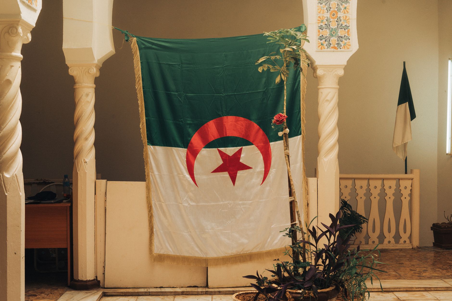 Algeria Adopts Law Imposing Death Penalty on Forest Arsonists