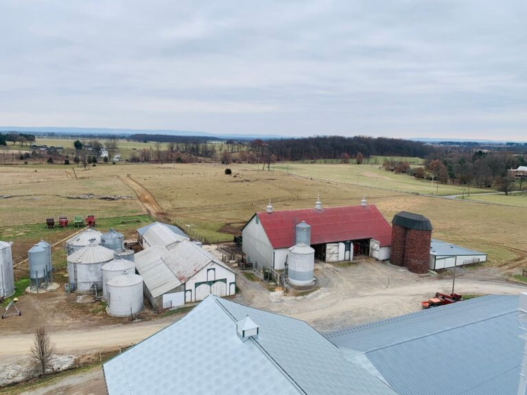 Szalay’s Farm Dispute: Lease Isn’t the Same as Ownership