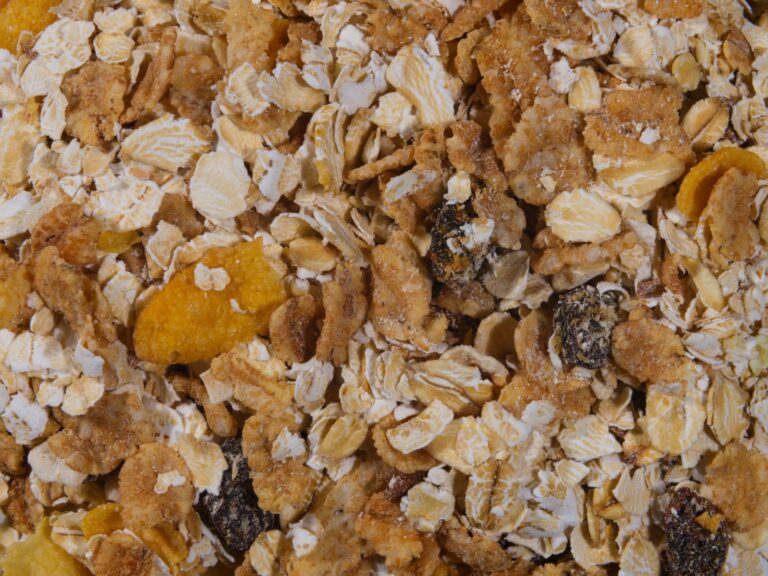 Low-Energy Diet Plus Structured Exercise Reverses Early Onset Diabetes
