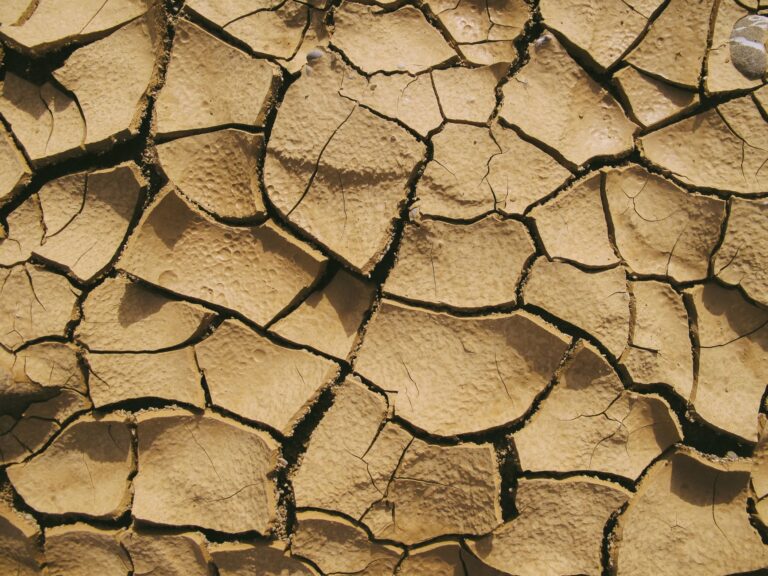 Earth’s Condition Is ‘Serious and Getting Worse’ as Climate Change Intensifies