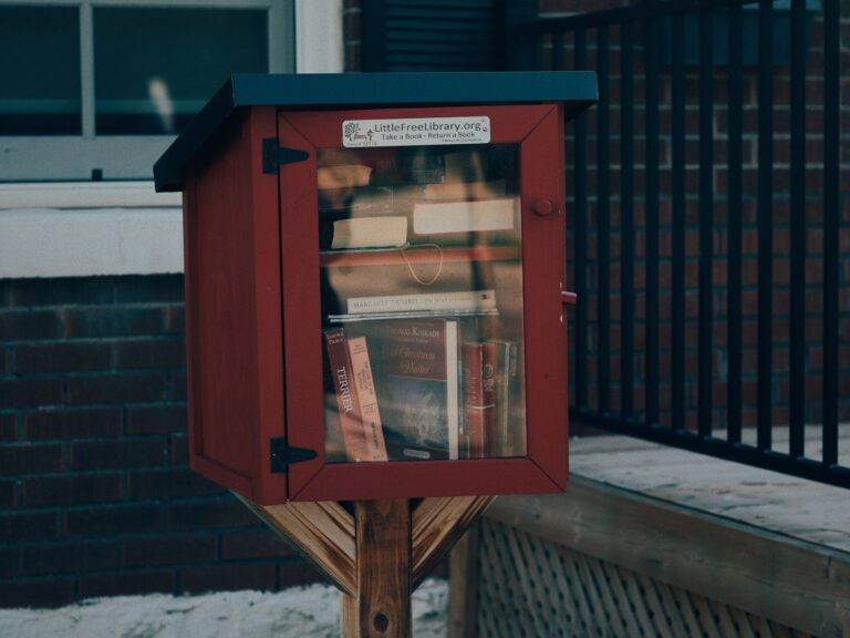 Solon Girl’s Little Free Library Pays Tribute to Mom’s Cancer Journey