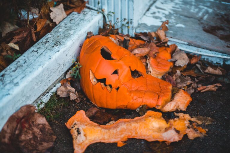 Halloween Décor Stolen from Richmond Heights Home
