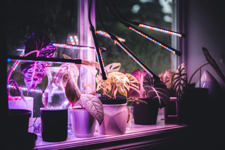 Brighten Up Your Winter: Top LED Grow Lights for Houseplants