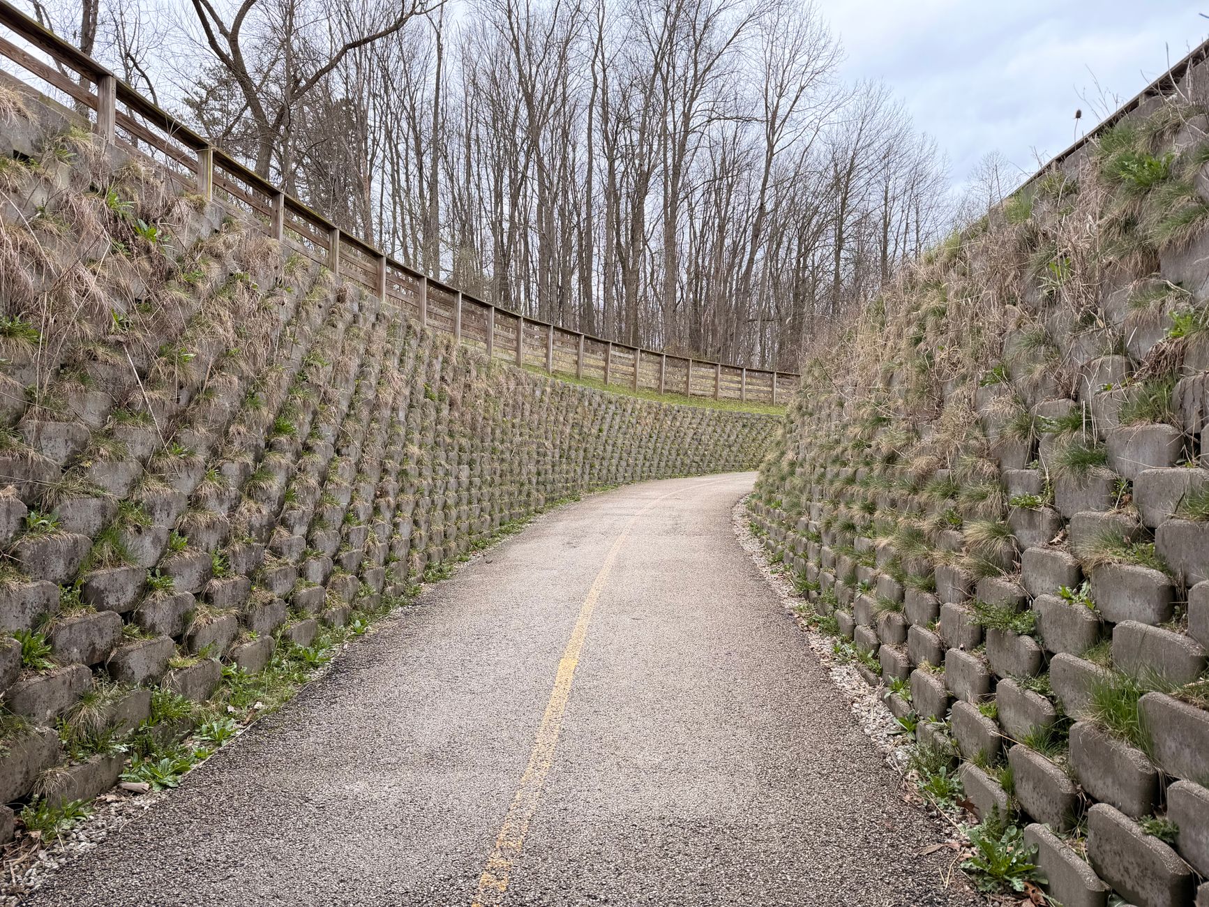 Insights into Cuyahoga County’s Diversion Center and Crisis-Care Model