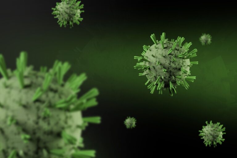 Brazil’s Newcastle Disease Outbreak: Impact on Poultry Industry Remains Limited, Experts Suggest