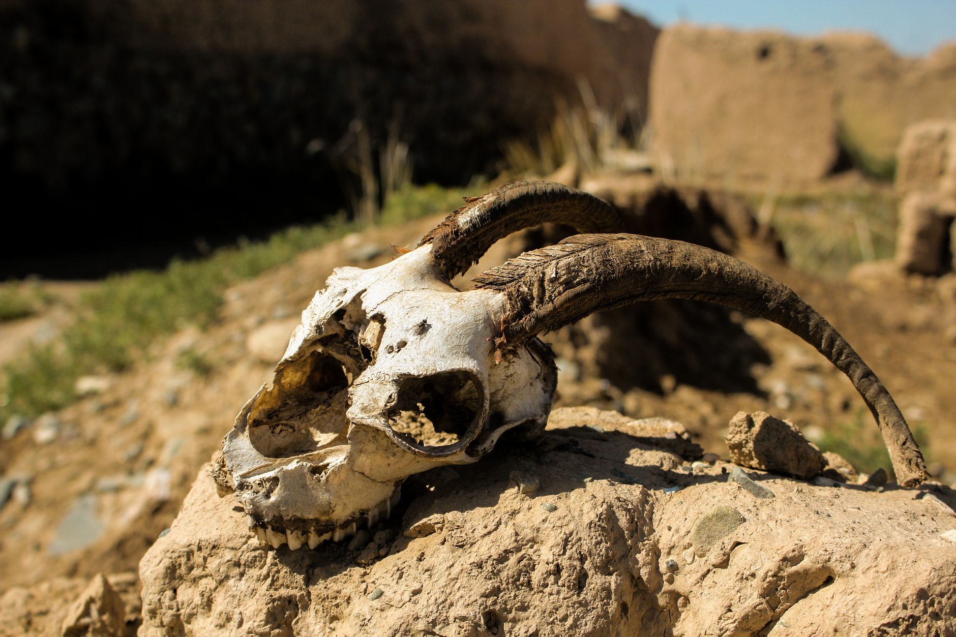 Death Toll from Houthi Attack on Yemen Training Camp Rises to 73