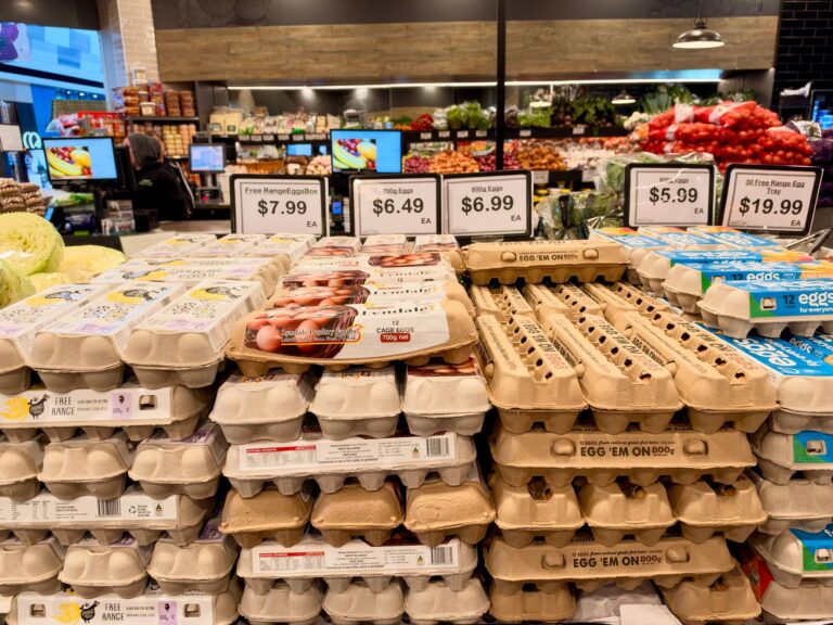 Grocery Prices Remain Steady in September: Yearly Increases Noted