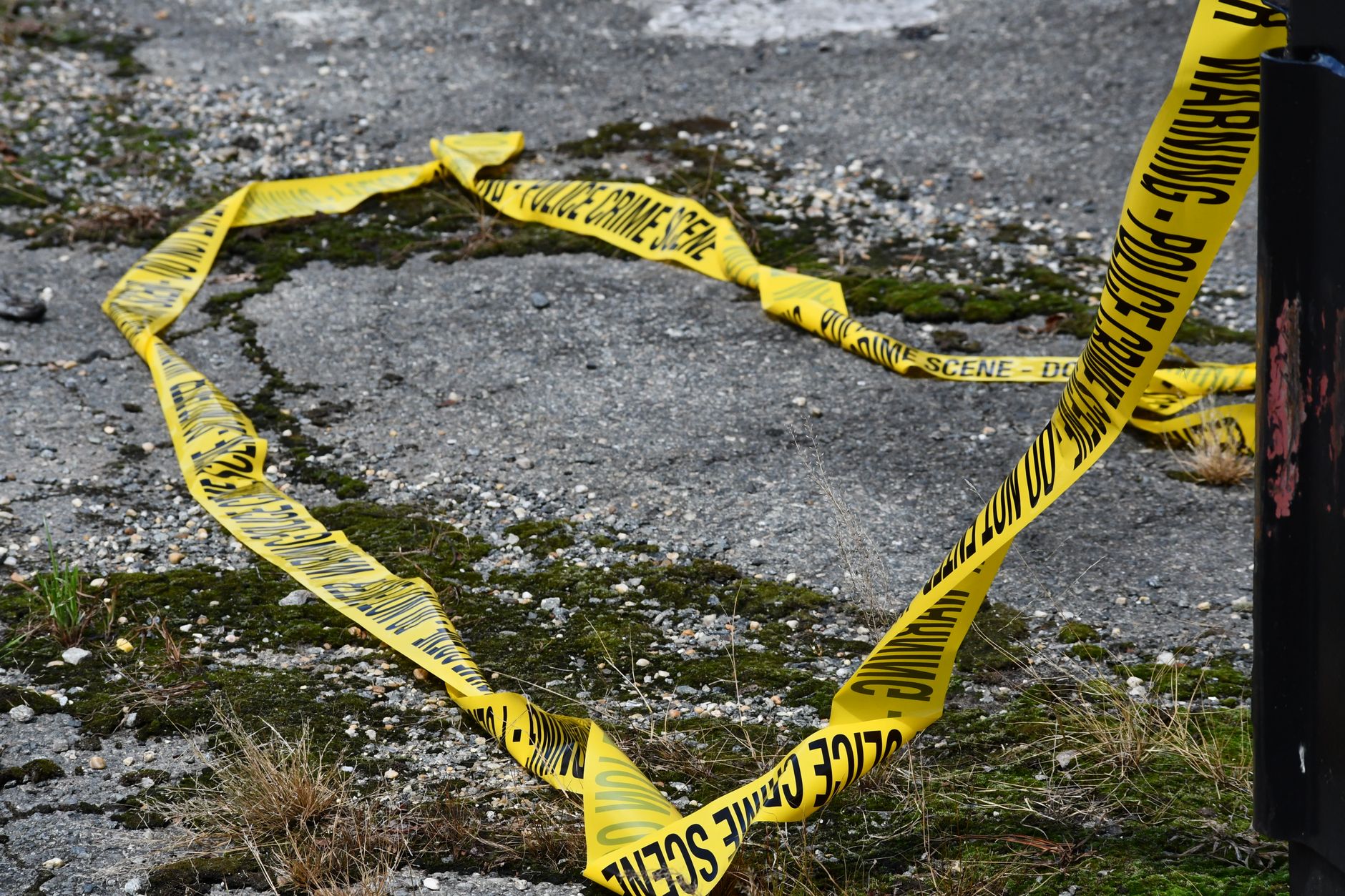Two Found Fatally Shot in Oberlin Home, Including College Professor
